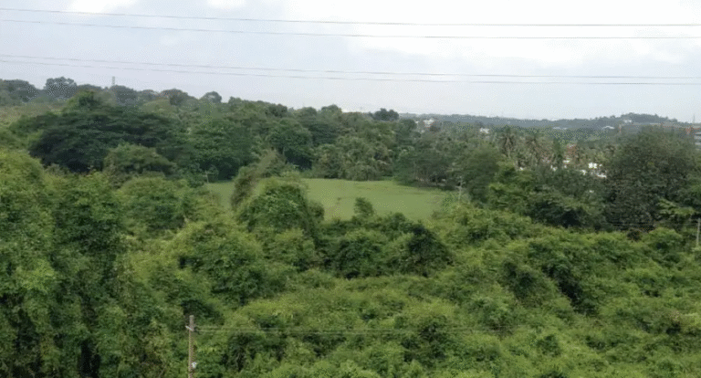 ജുഡീഷ്യൽ സിറ്റി  കളമശേരിയുടെ മുഖം മാറ്റും